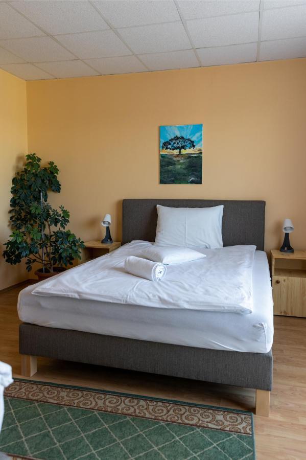 Betli Panzio Hotel Zalaegerszeg Luaran gambar